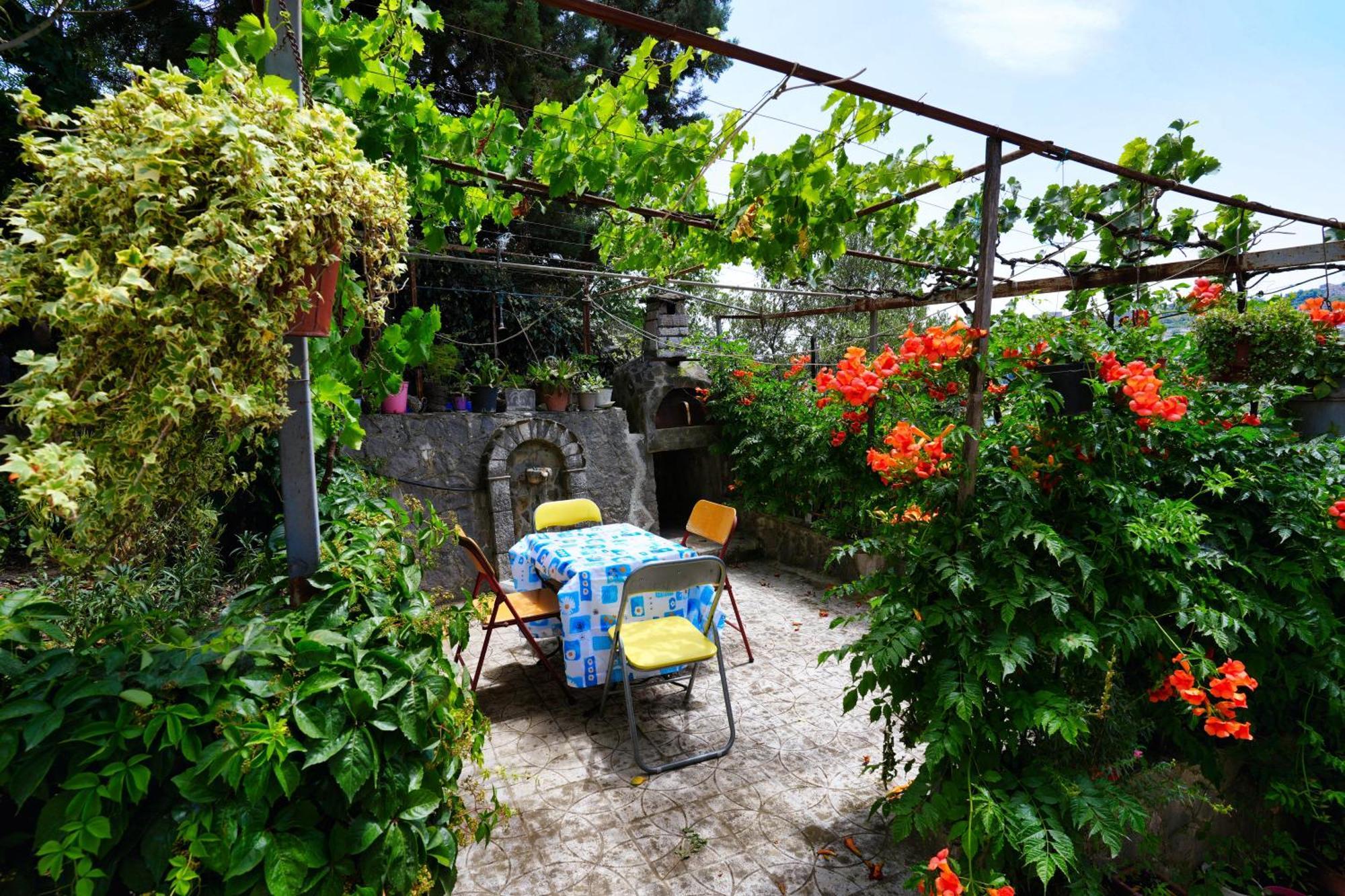 Vila Banushi Gjirokastër Extérieur photo